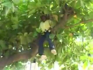 Z'aime (4) - La grosse