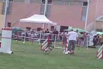 Brooks Jumping IPAC 210609