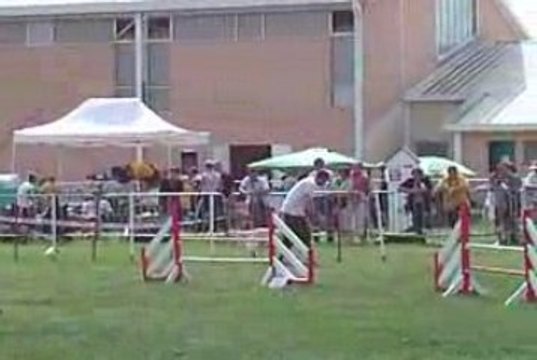 Woofie Jumping IPAC 210609