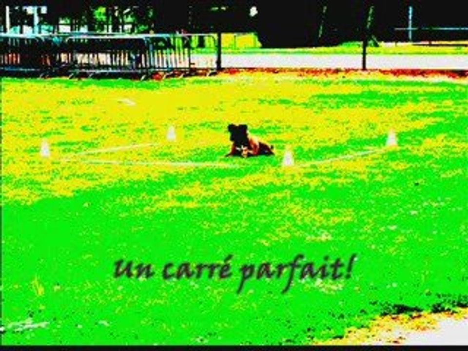 concours orchies 2009