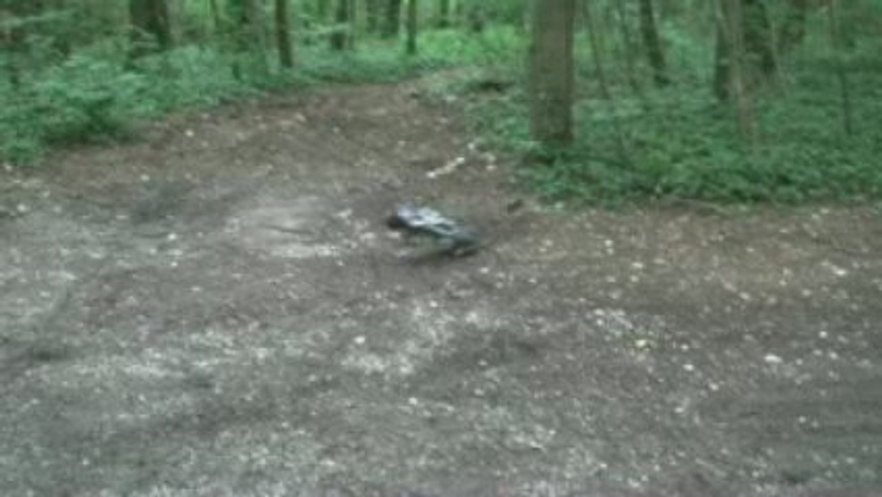 Muddy Sunday - Traxxas Slash