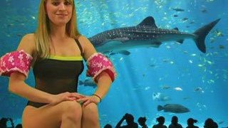 Interesting Animal Facts 3, Shark Attack Hot Fun Girls