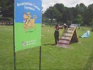 Portes ouvertes de l'A.C.F. (Association Canine Fertoise)