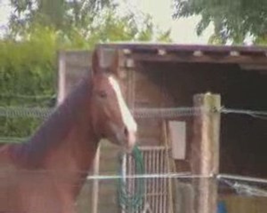 Balzan en pleine forme