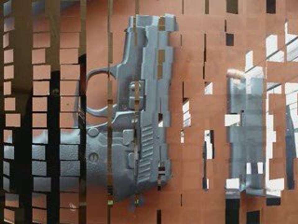 seance de tir 357 magnum et sig sauer