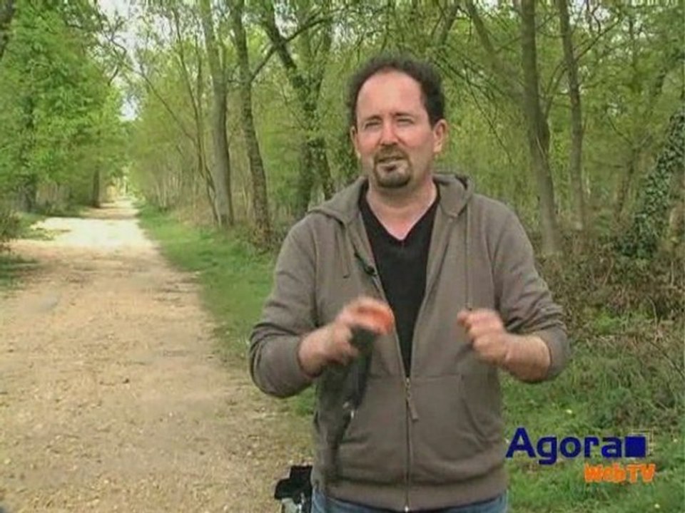 ENTRE CHIENS ET NOUS : JOUER AVEC SON CHIEN