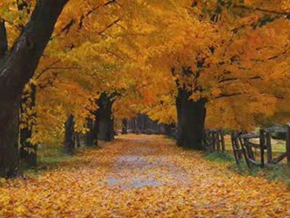 Oguz Boran - Seni Cok Seviyorum