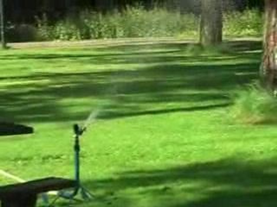 Mark over oma Veldpape