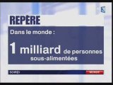 1 milliard d'individus sous alimentés