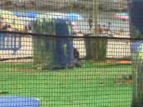 Paintball Peniscolla 2009 Shoota Babylon 14