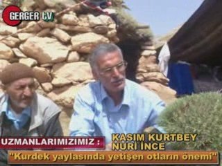 KURDEK YAYLASINDA HER DERDE DEVA OTLAR YETİŞİYOR