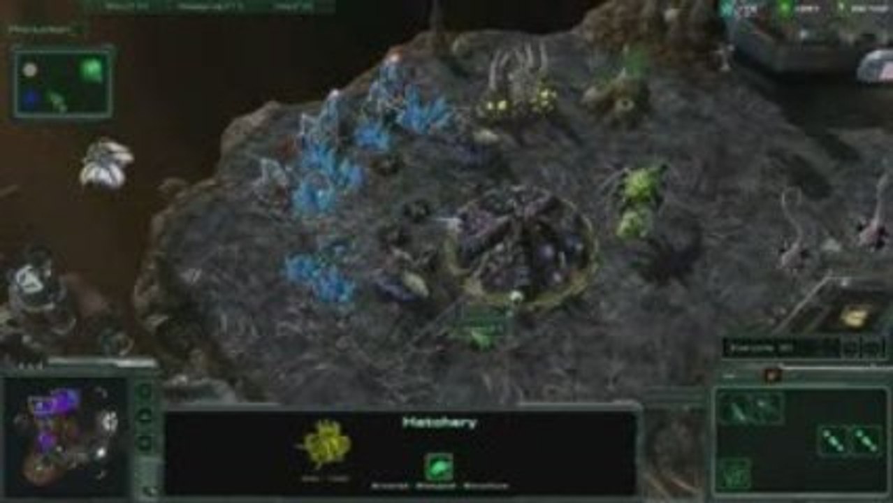 Rapport de bataille de StarCraft II n°3