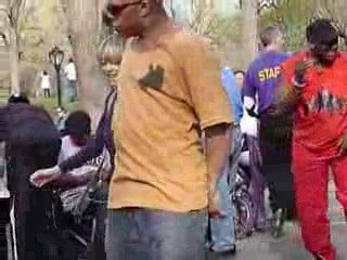 Roller dans Central Park