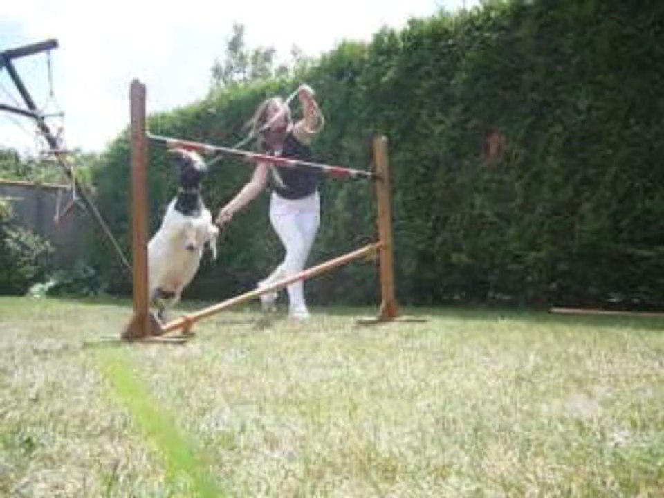 seance puissance avec fleur et saut pour binou