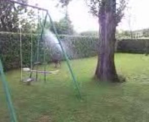 Berger allemand: shadow 5mois aime déjà les jets d'eau ^^