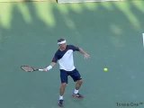 David Nalbandian - Forehand - ProStrokes
