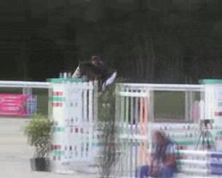 Qualino d'Oreal CIRP Le Lion d'Angers 20 juin 2009