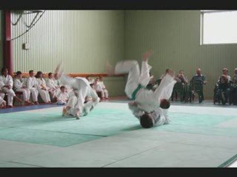 Judo Club de Dommartin les Toul