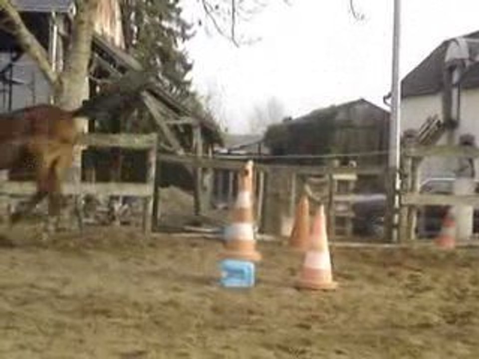 Quidam des prés : ses premiers saut en liberté