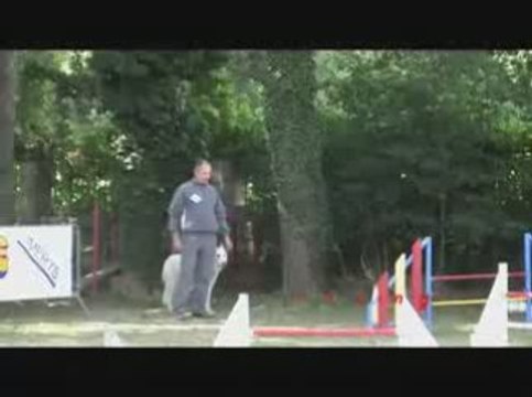 Thao Jumping Agility Dagneux 21/06/2009