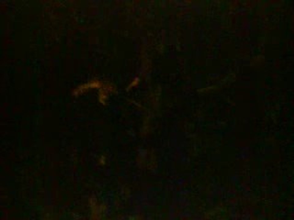 max grimpe aux arbres