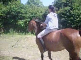 Sonate, Ponette de 3 ans & c'est un pur bonheur.