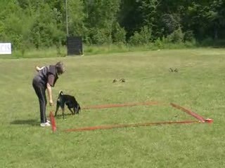 Premier essaie carré cavage