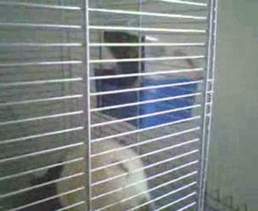 Fett marley im wasserbad