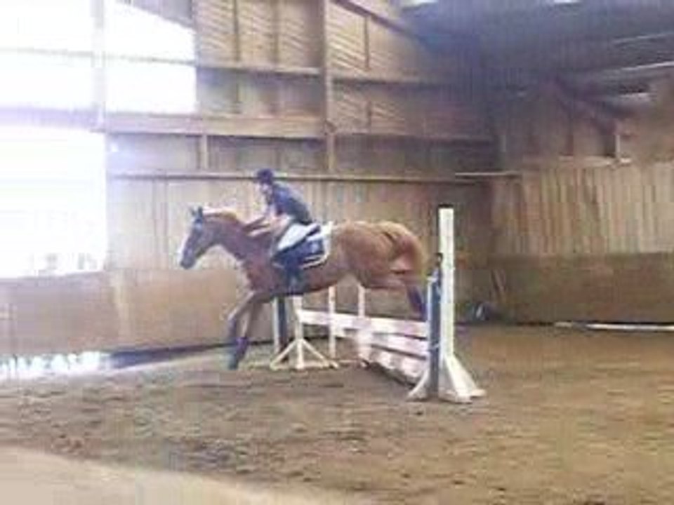 Mathilde et Néo CSO 21/06