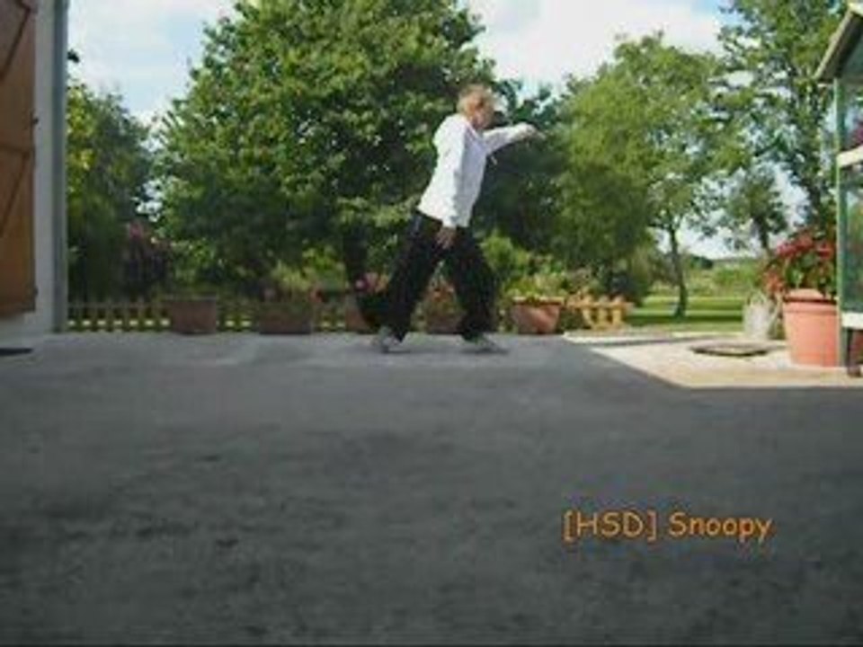 Melbourne Shuffle Snoopy