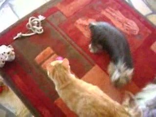 Darla et son amoureux