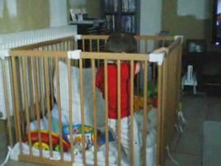 quentin debout dans son parc