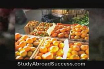 Study Abroad in Ecuador 4