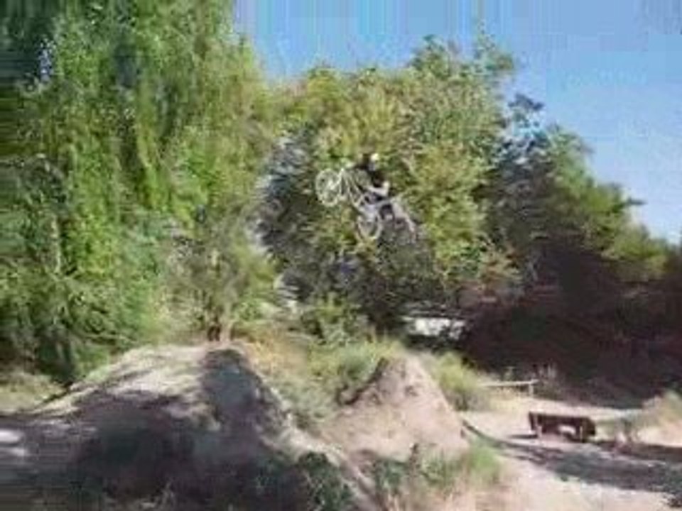 chico ariel bmx