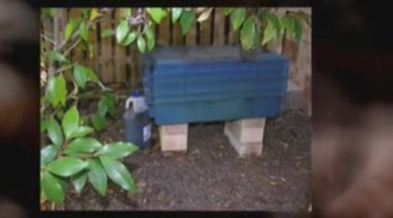 Worm Composting