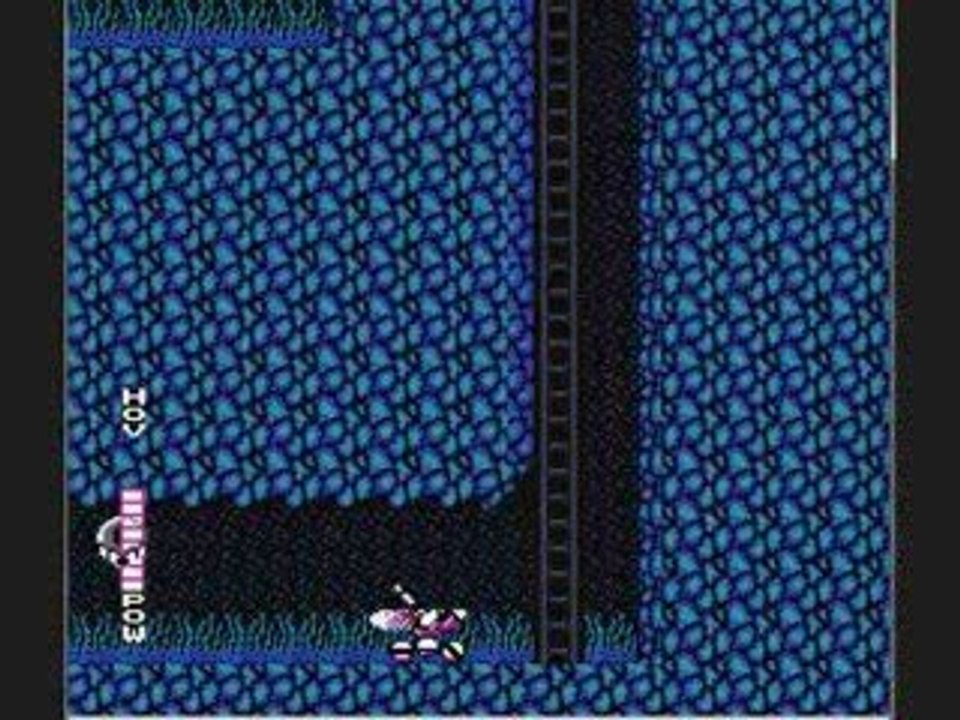 Blaster Master (NES): Old Classic Video Game