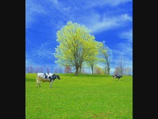 You'll Love This! Classical Piano Music-Springtime In Moscow