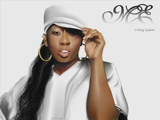 She is a Bitch - Missy Elliott - 2009 Unofficial Sonat Remix