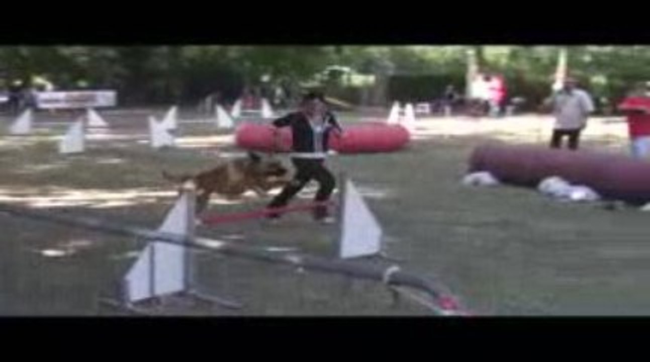 Sindbad Jumping Agility Dagneux 21/06/2009