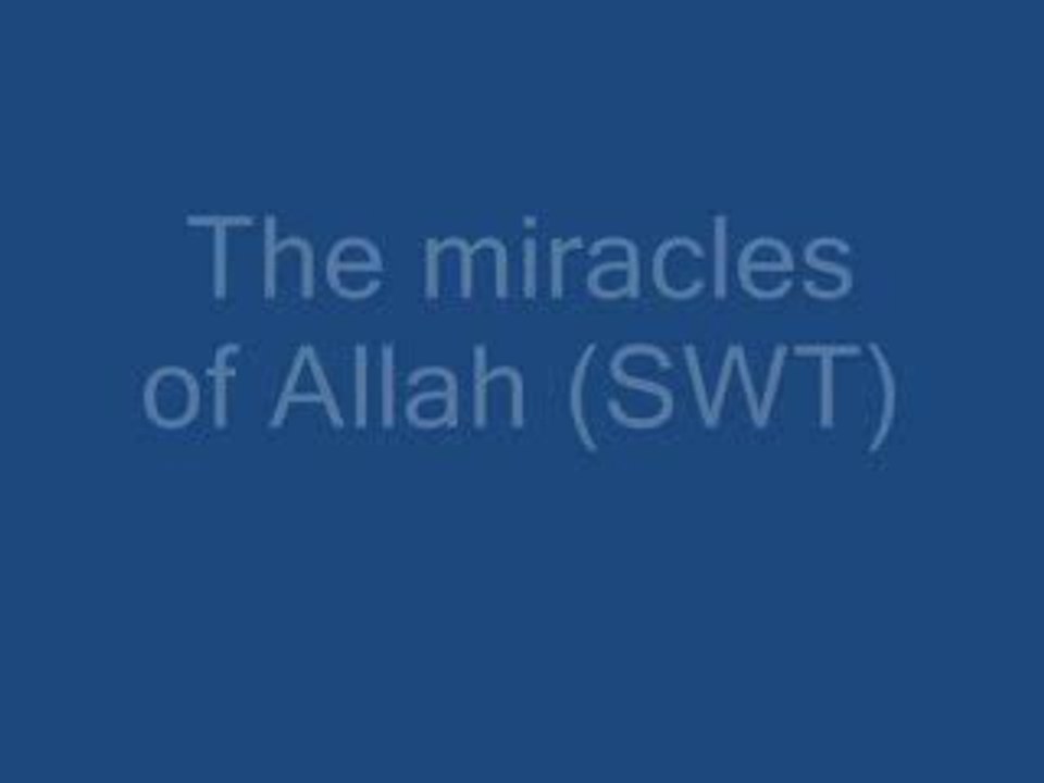The miracles of Allah (swt)
