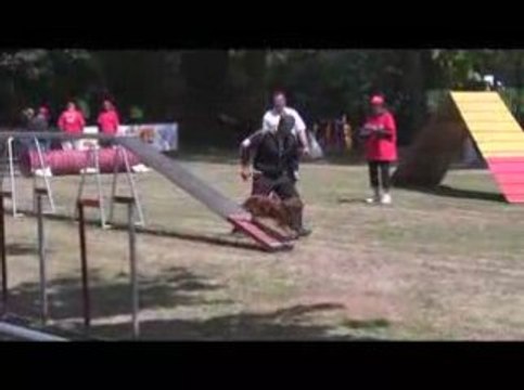 Bango Degré Agility Dagneux 21/06/2009