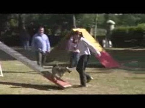 Boom Open Agility Dagneux 21/06/2009