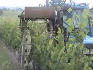Le rognage au Domaine Lam�� Delisle Boucard